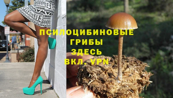 apvp Алзамай
