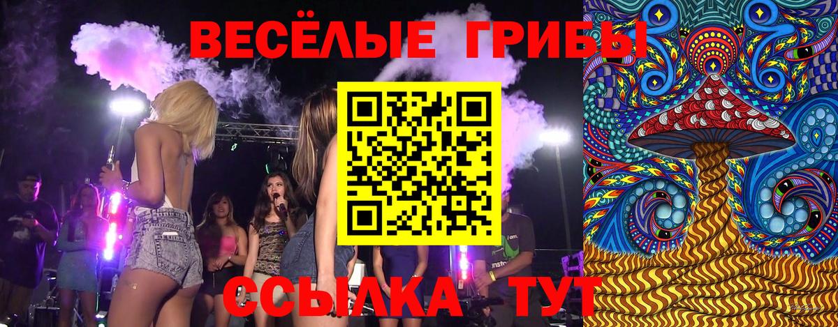 цены наркотик  Псилоцибиновые грибы прущие грибы  Вход с VPN  Домодедово  Псилоцибиновые грибы ЛСД 